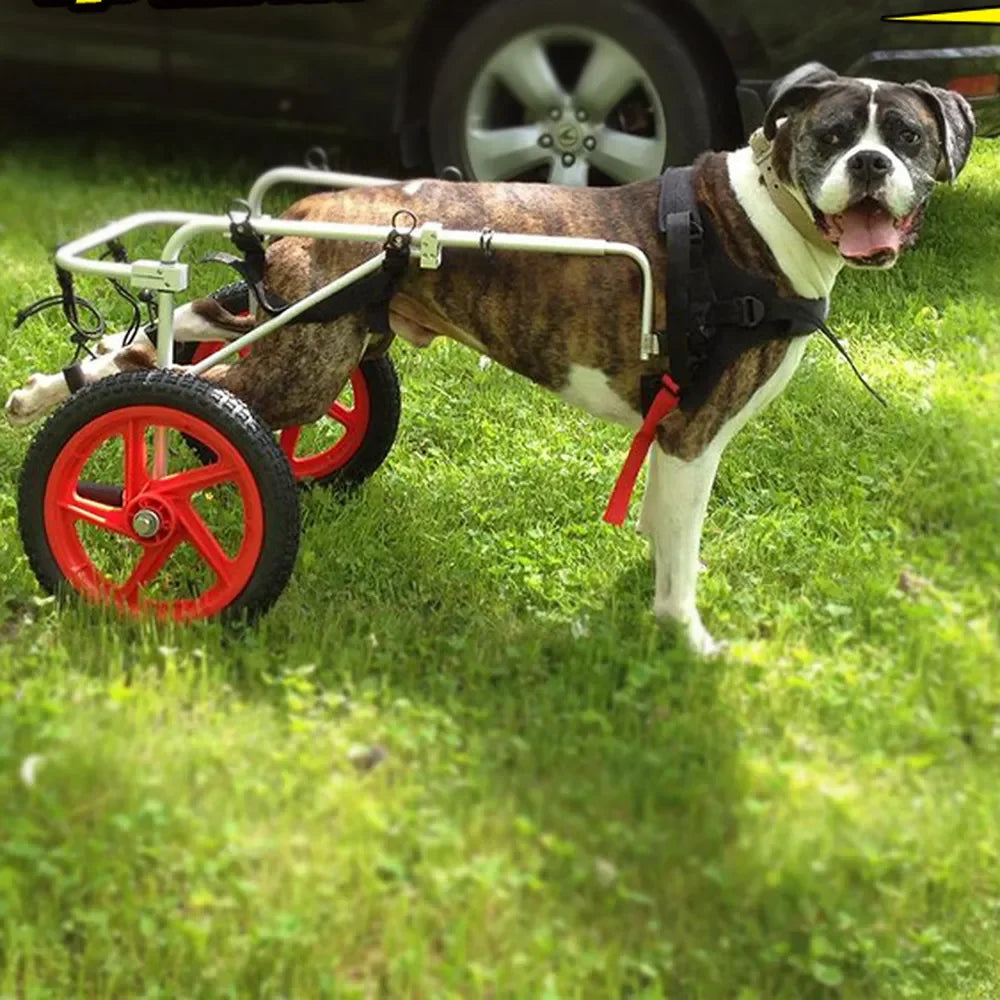 Large Dog Rehabilitation Training Wheelchair