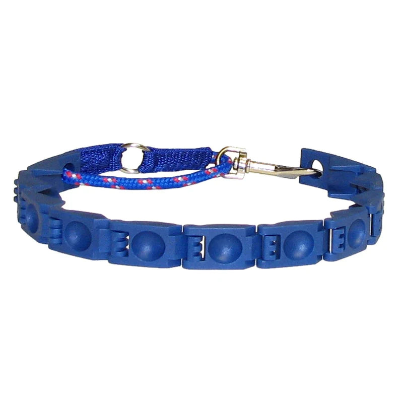 Dog Training Command Collar
