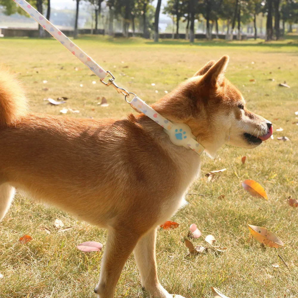 Silicone Cute Pet AirTag Collar & Lead