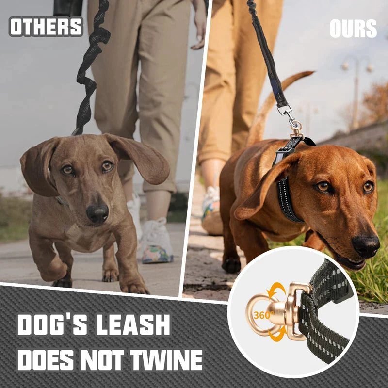 Heavy Duty Adjustable Metal D Ring Dog Collar