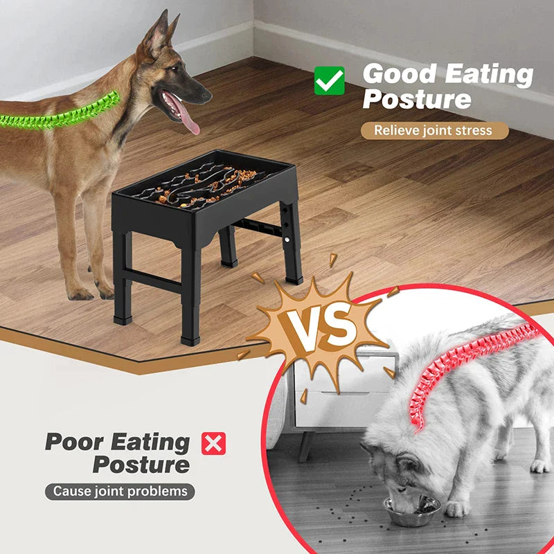 2.2L Large Capacity Elevated Dog Bowls