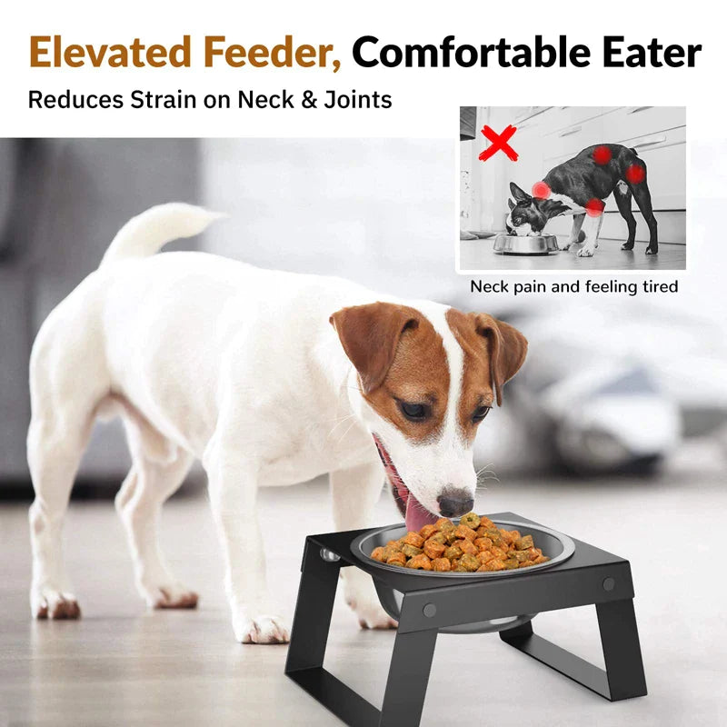 Stainless Steel Elevated Dog Bowls