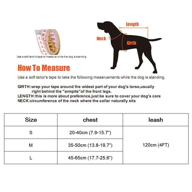 Bowknot Cat Harness & Leash Set