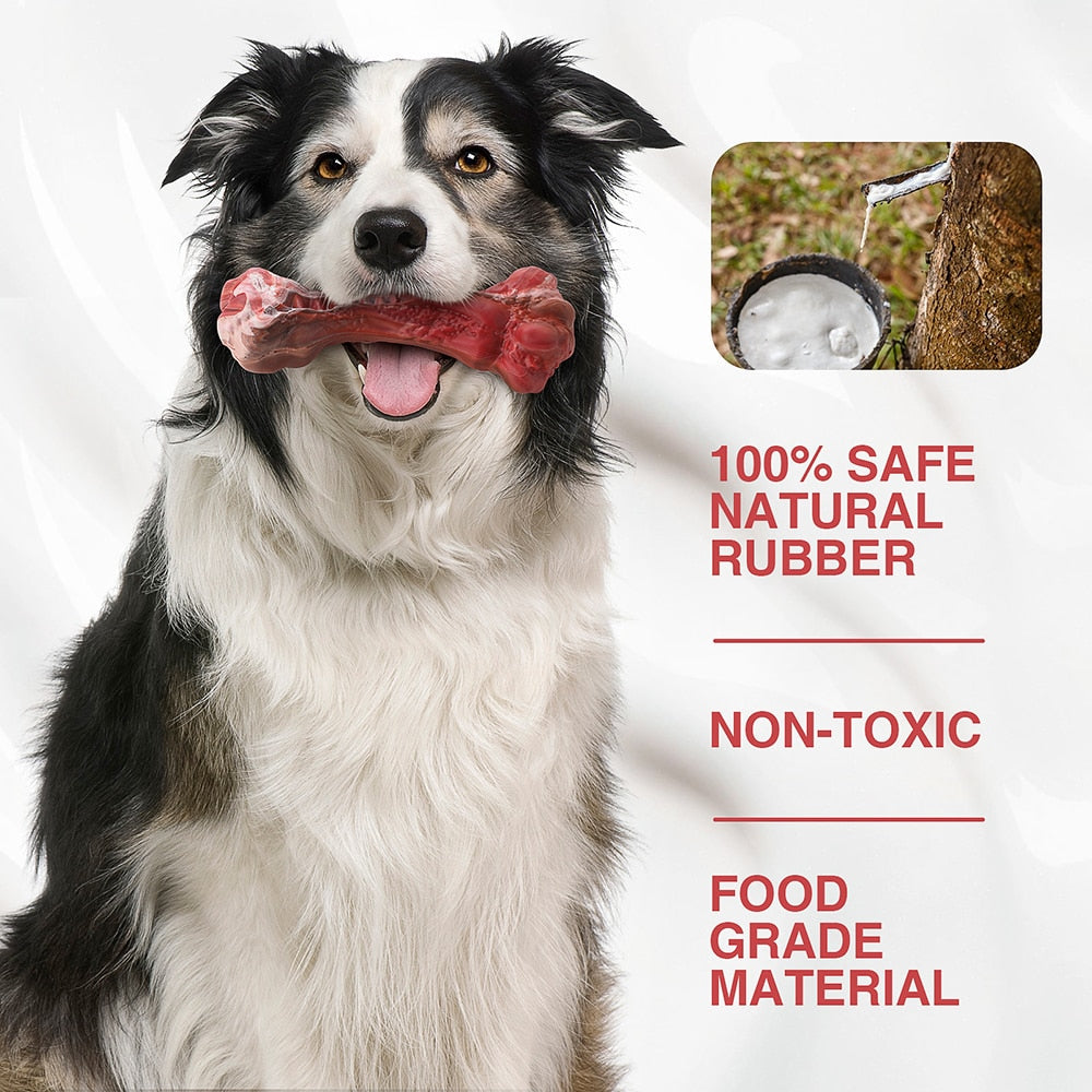 Large Dogs Bone Shaped Indestructible Dog Toys
