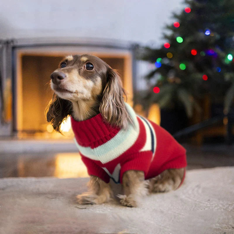 Turtleneck Striped Dog Sweaters