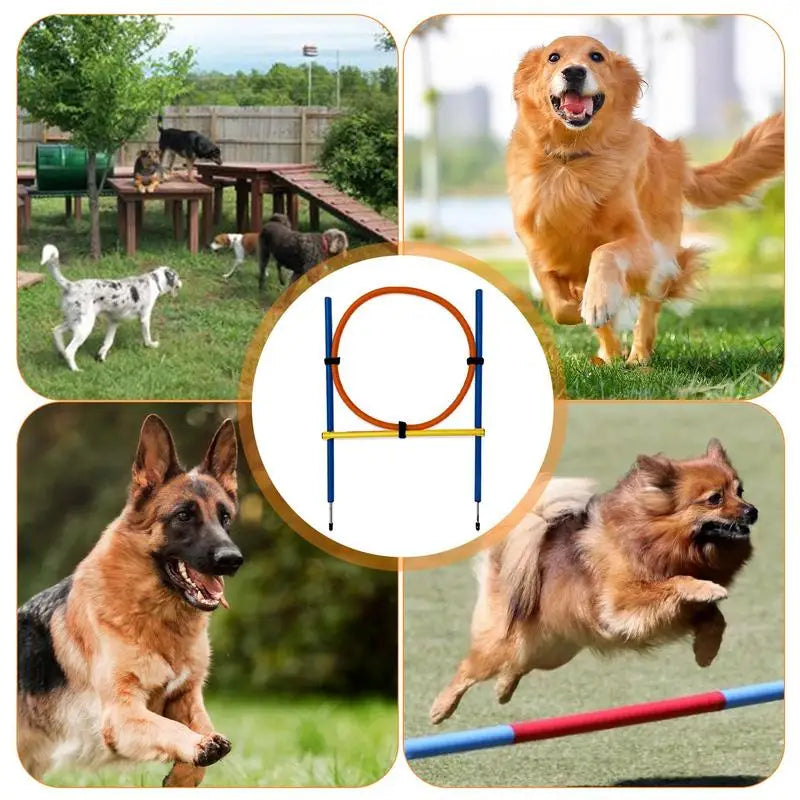 Outdoor Portable Dog Agility Jumping Pole