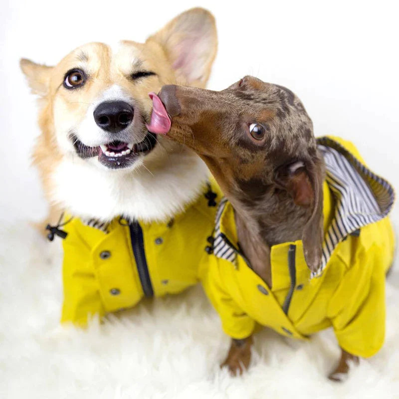 Waterproof Nylon Dog Raincoat