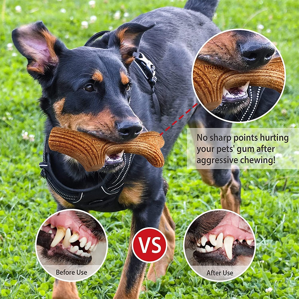 Almost Indestructible Dog Dental Chews Toys