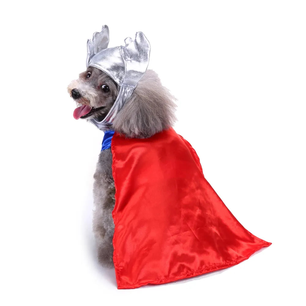 Halloween Pet Thunder God Costume