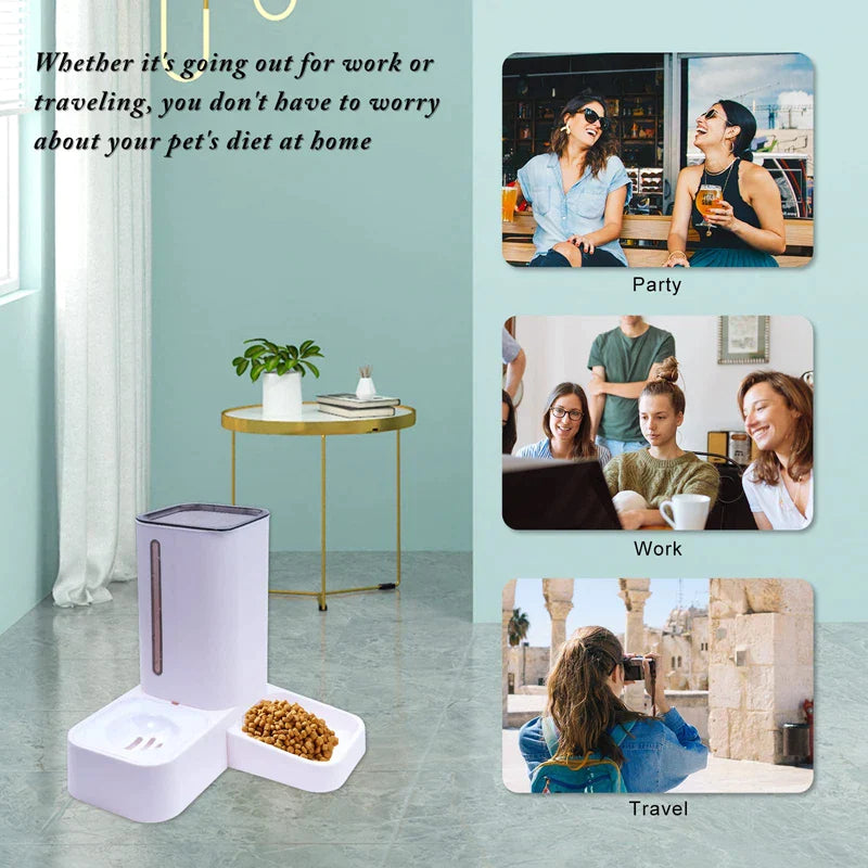 2 In 1 Eco-friendly Automatic Pet Feeder