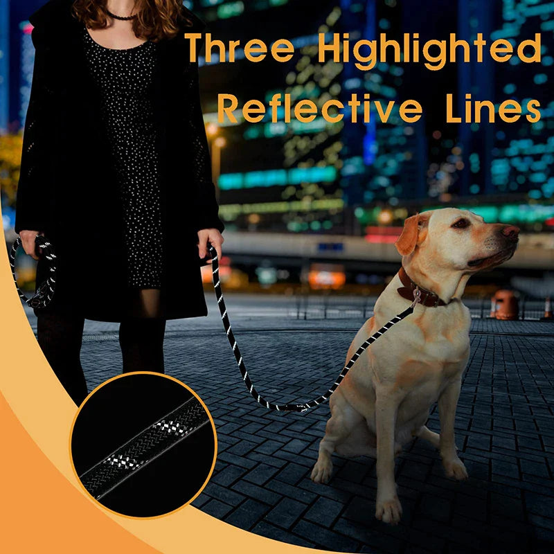 Multifunctional Hands Free Dog Lead