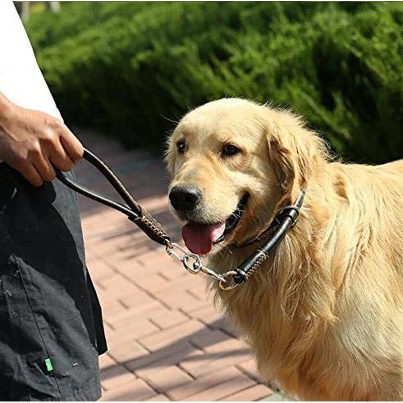 Rustproof Hook Genuine Leather Dog Lead