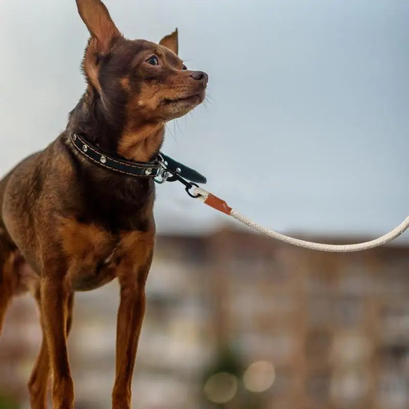 Heavy Duty Leather Dog Training Lead