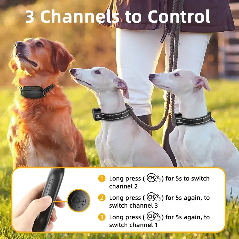 Rechargeable Remote Control IPX7 Dog Collar