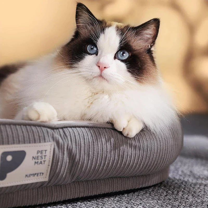 Soft Fabric Comfortable Cat Bed