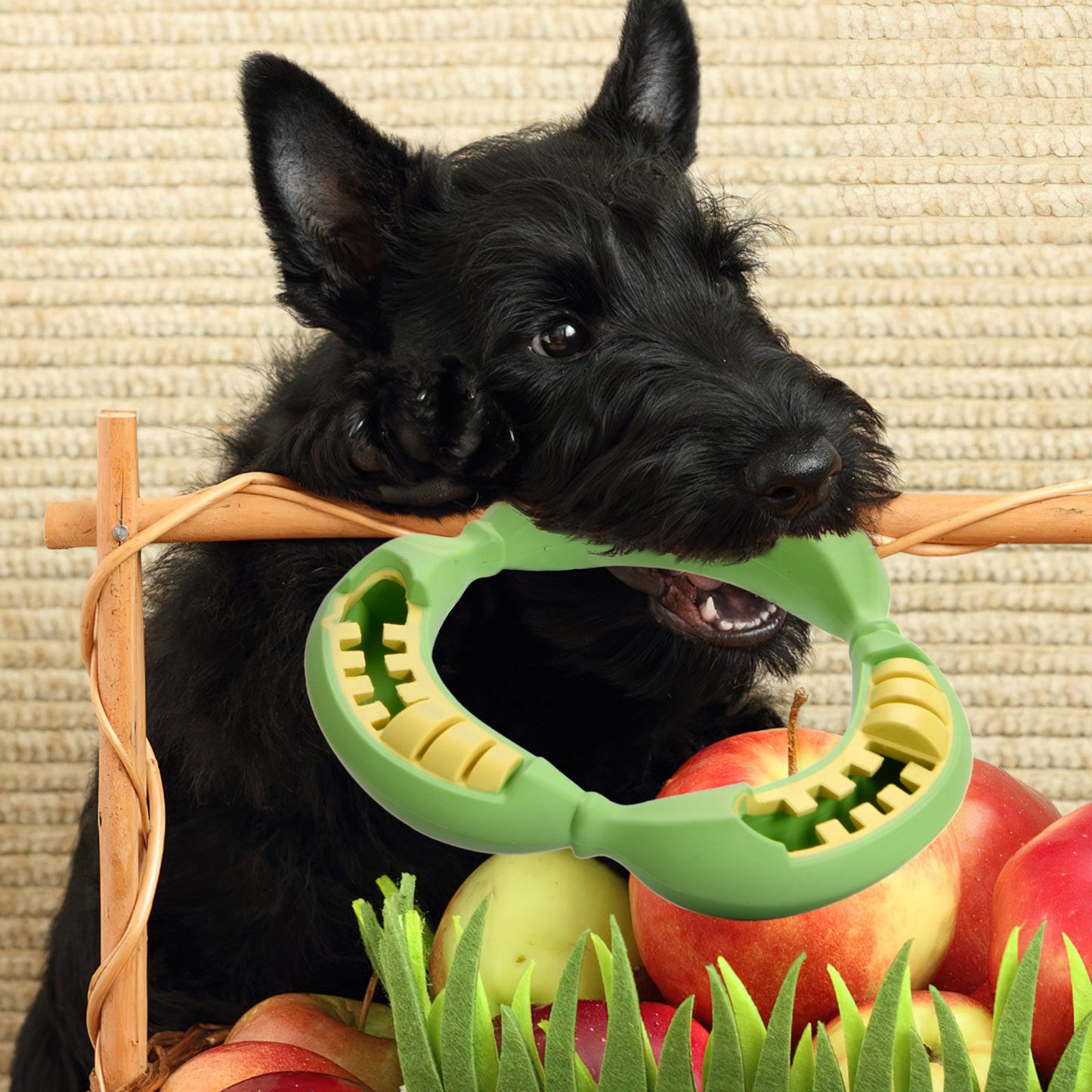 Average Chewers Treat Dispenser Dog Toys