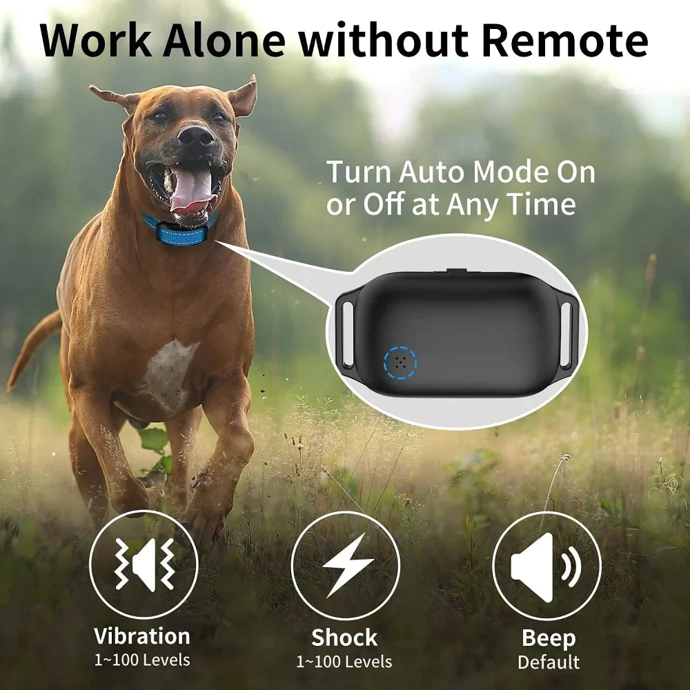 Automatic & Remote Dogs Training Collar