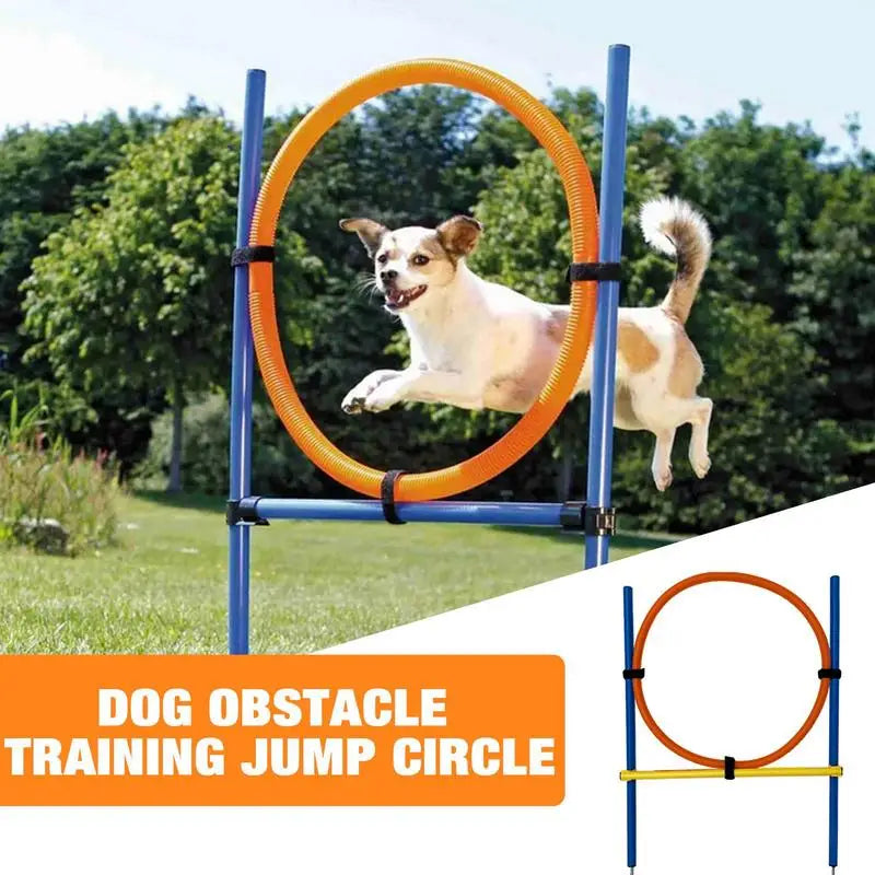 Outdoor Portable Dog Agility Jumping Pole