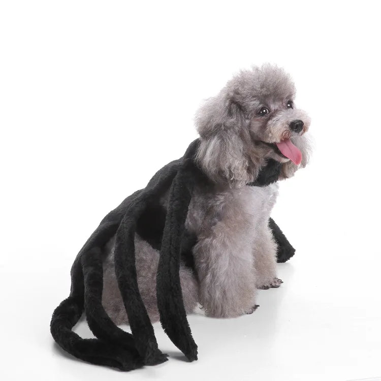 Funny Black Spider Dog Costume