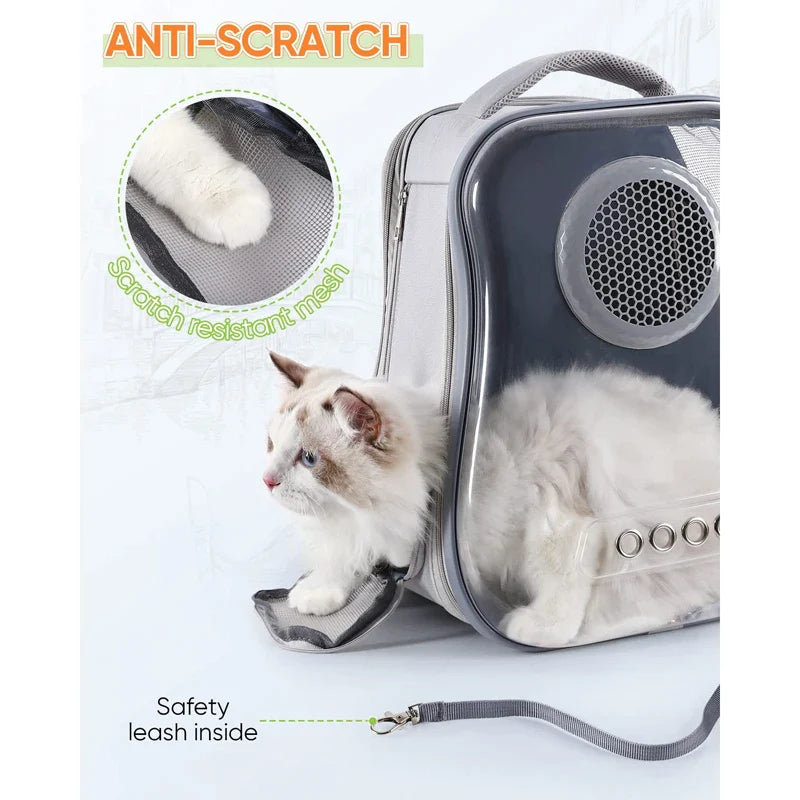 Transparent Bubble Dog Backpack