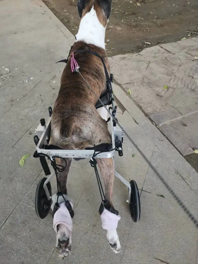 Dog Rear Limb Rehabilitation Wheelchair