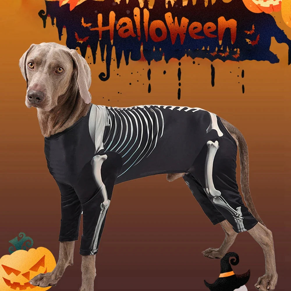 Halloween Dog Funny Skeleton Costume