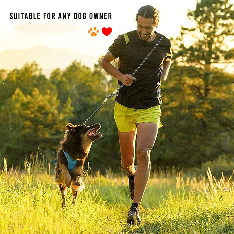 Multi-Function Hands-Free Dog Rope
