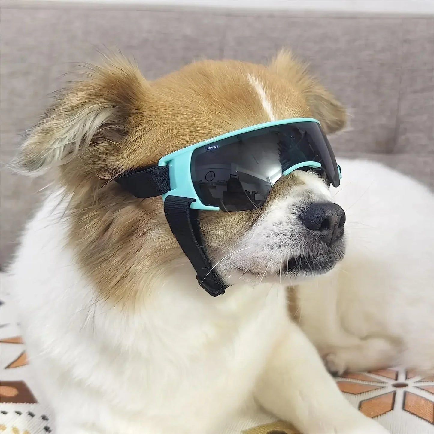 Windproof Anti-UV Dog Sunglasses