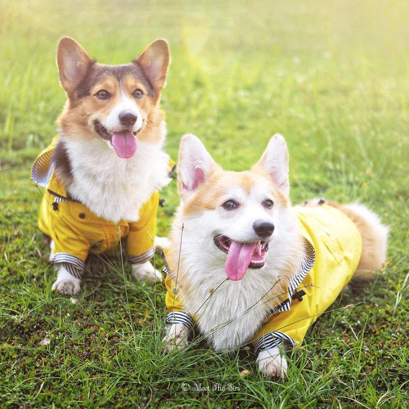 Waterproof Nylon Dog Raincoat