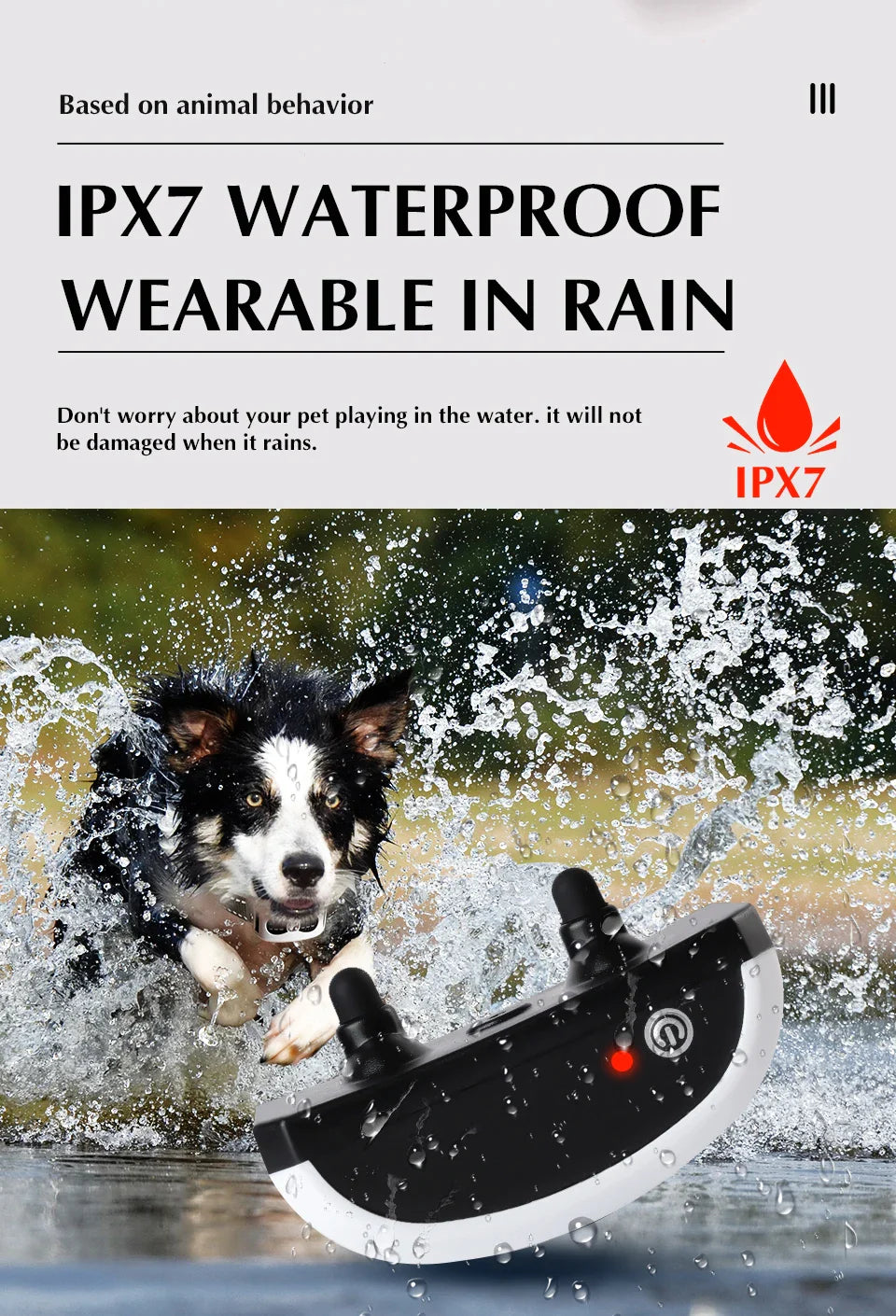 2 Function In 1 Dog Wireless Fence Training Collar