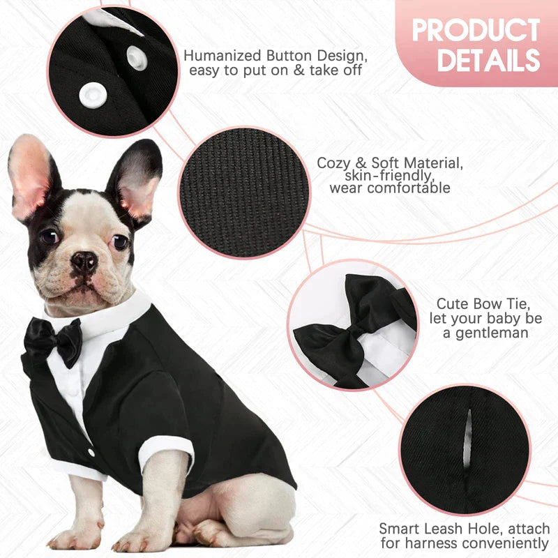 Stylish Dog Black Tie Tuxedo
