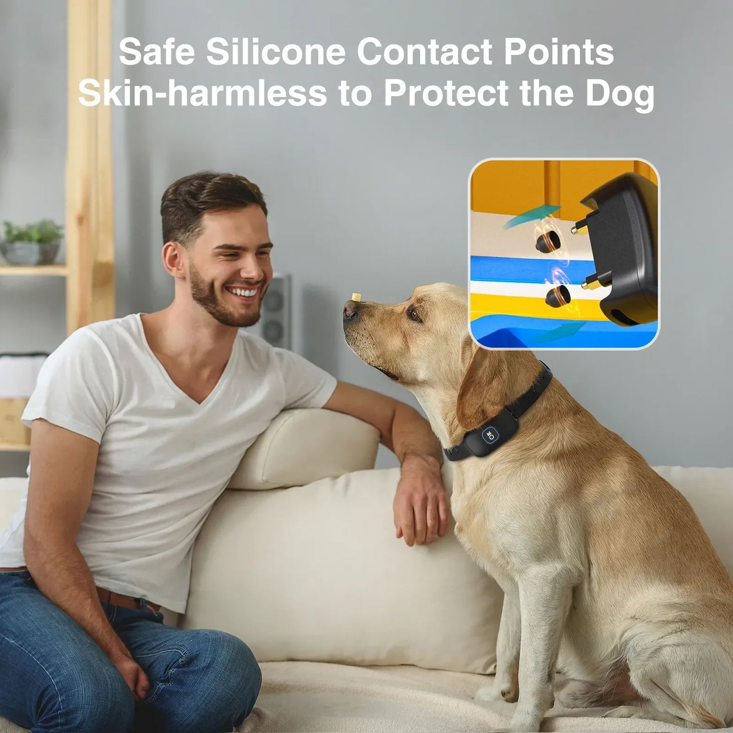 2 In 1 Wireless Perimeter Dog Containment System