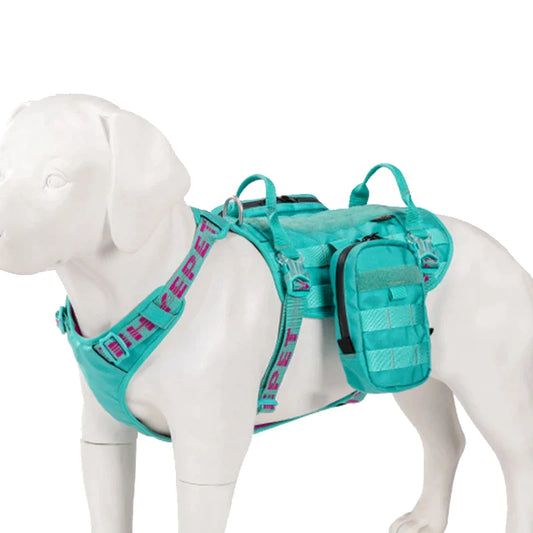 45024033702139|45024033734907|45024033767675