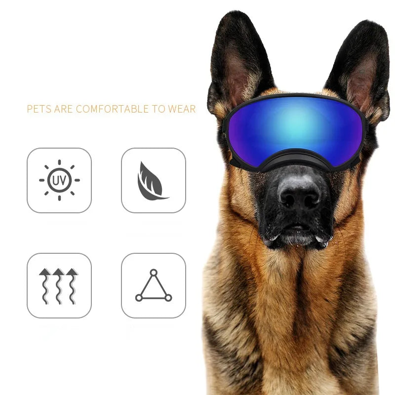 Outdoor Dog Fashion Sports Glasses