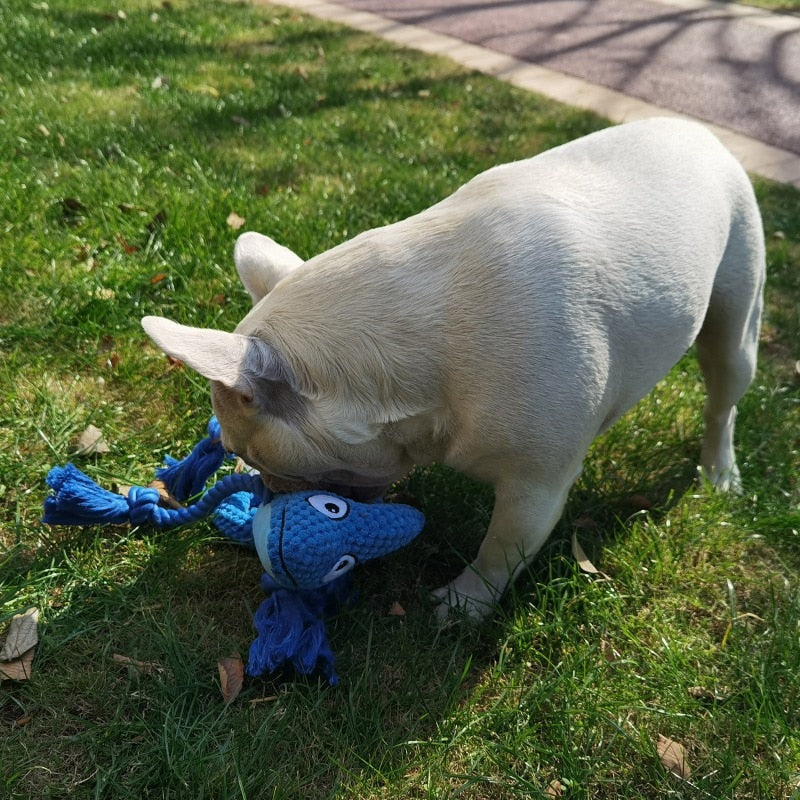 Ultra Tough Chameleon Dog Toy