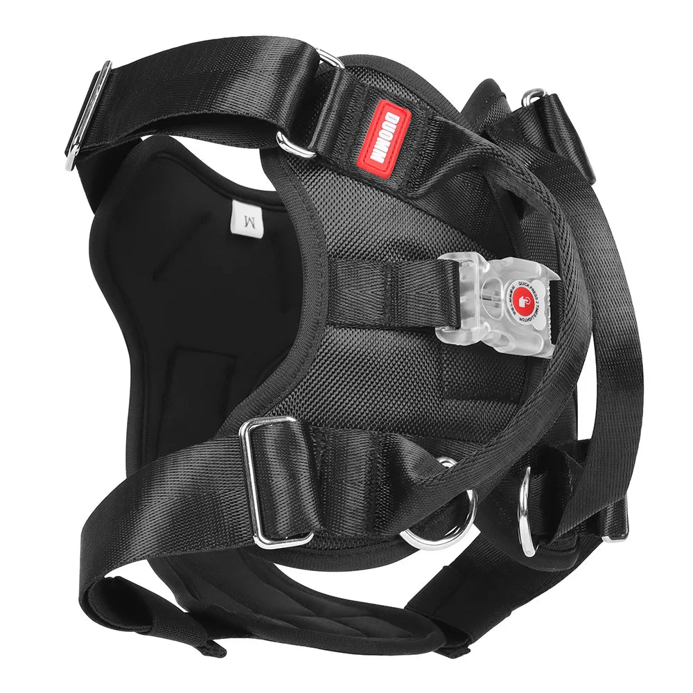 Explosion Proof Big Dog Harness With Led Light