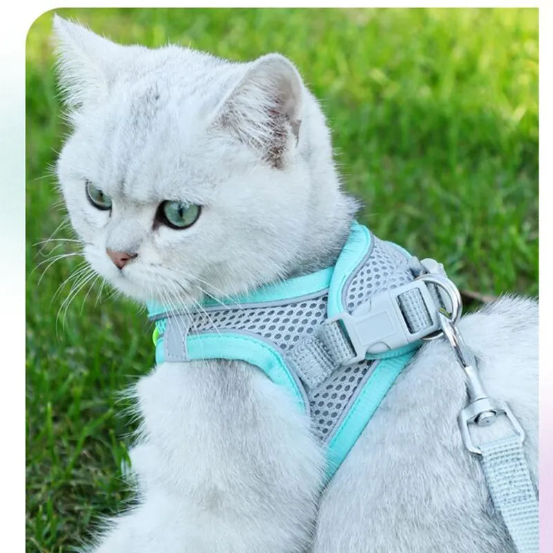 Escape Proof Cat Harness & Leash Set