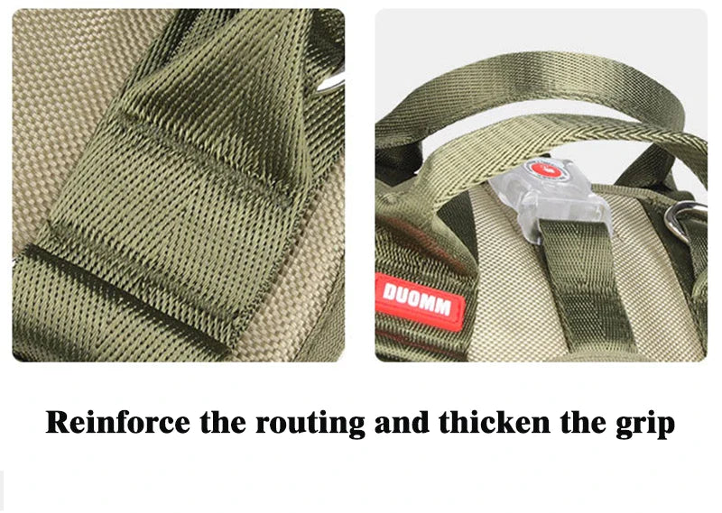 Explosion Proof Big Dog Harness With Led Light