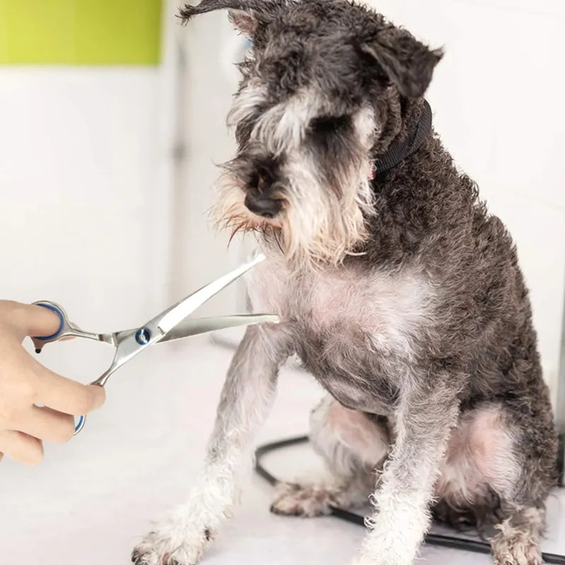 Professional Dog Curved Grooming Shears