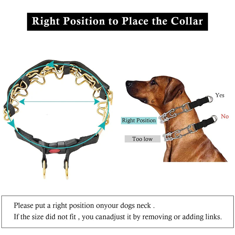 Heavy Duty Chain Dog Prong Collars