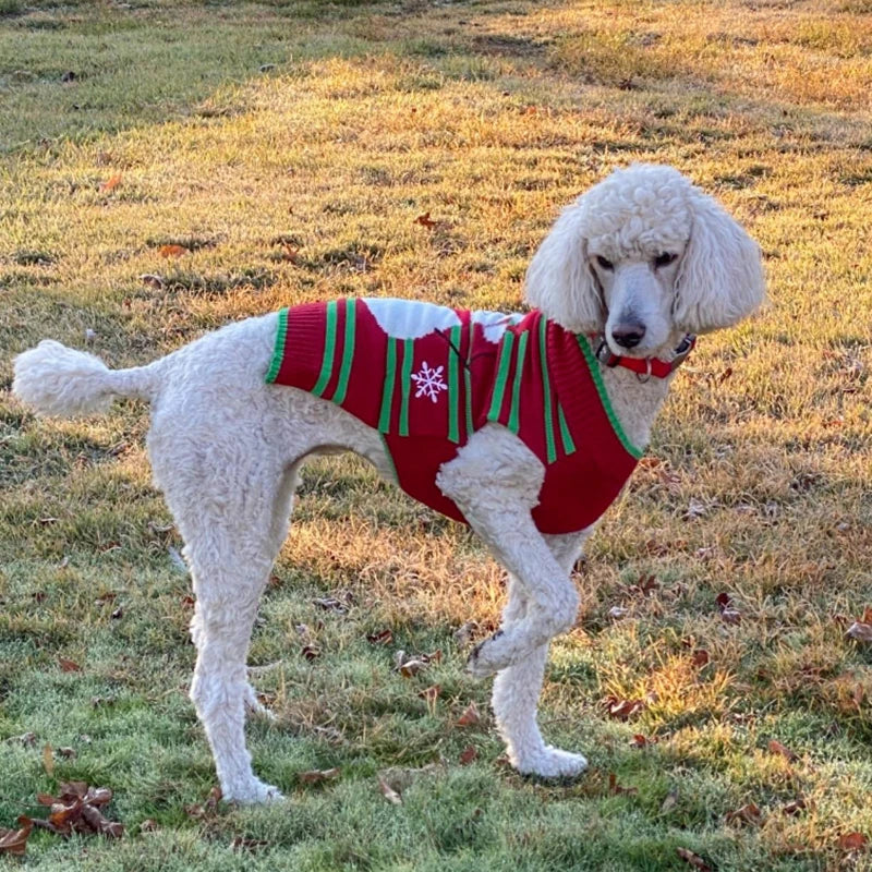 Christmas Snowman Pattern Dog Sweaters