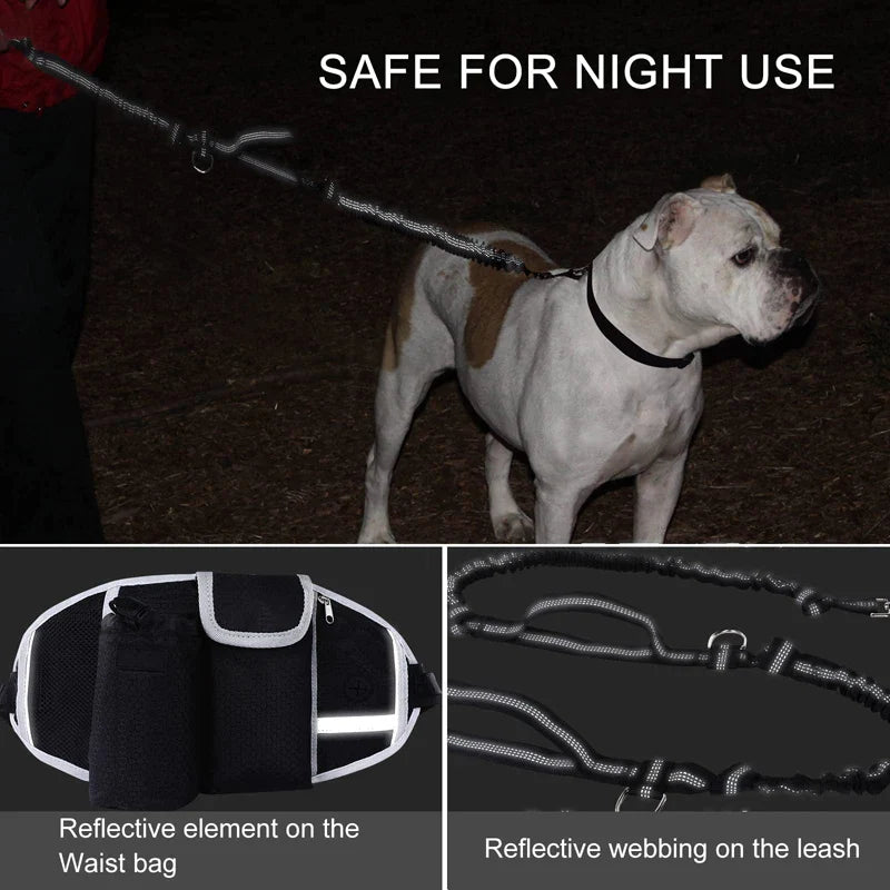 Bungees Reflective 2 Handles Dog Leash