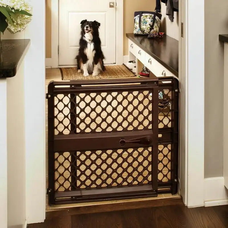 Wireless Essential Dog Fence