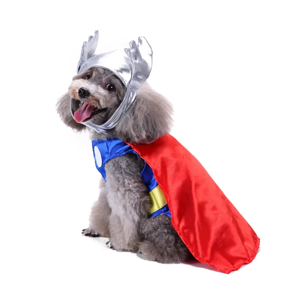 Halloween Pet Thunder God Costume