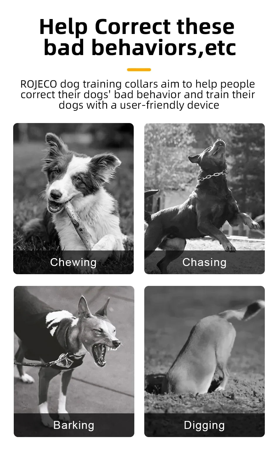 Rechargeable Remote Control IPX7 Dog Collar