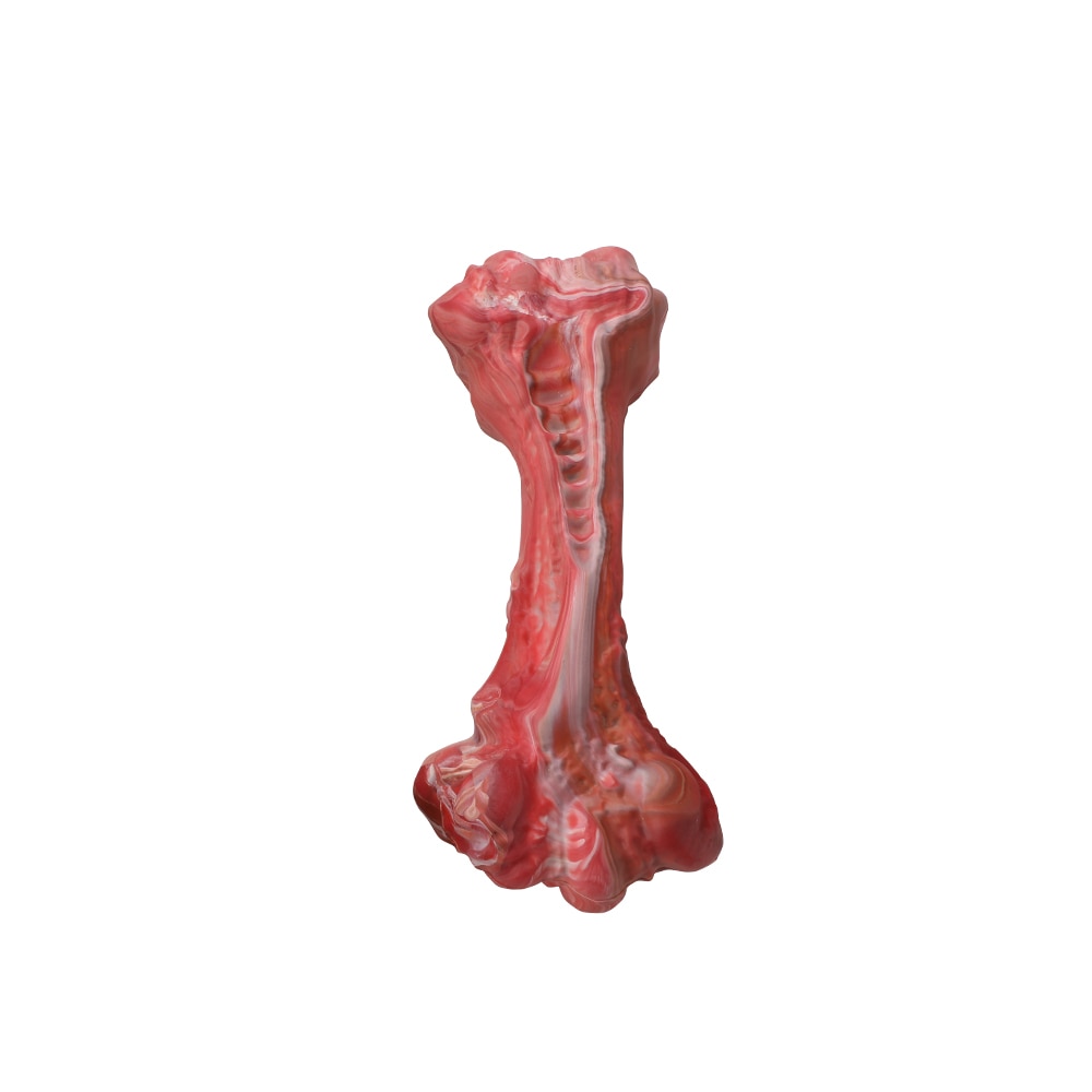 Large Dogs Bone Shaped Indestructible Dog Toys