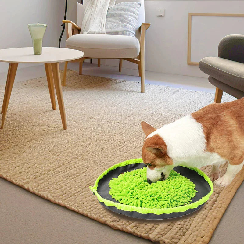 Washable Eco-friendly Dog Snuffle Mat