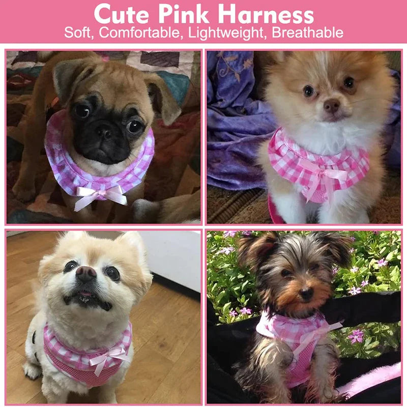 Lovely Ribbon Girl Dog Harness