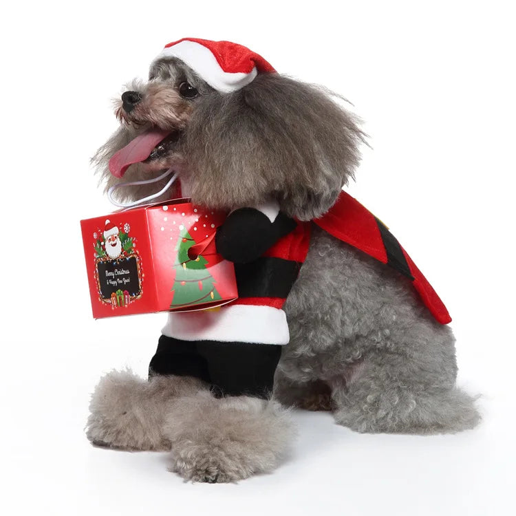 Funny Santa Dog Costume