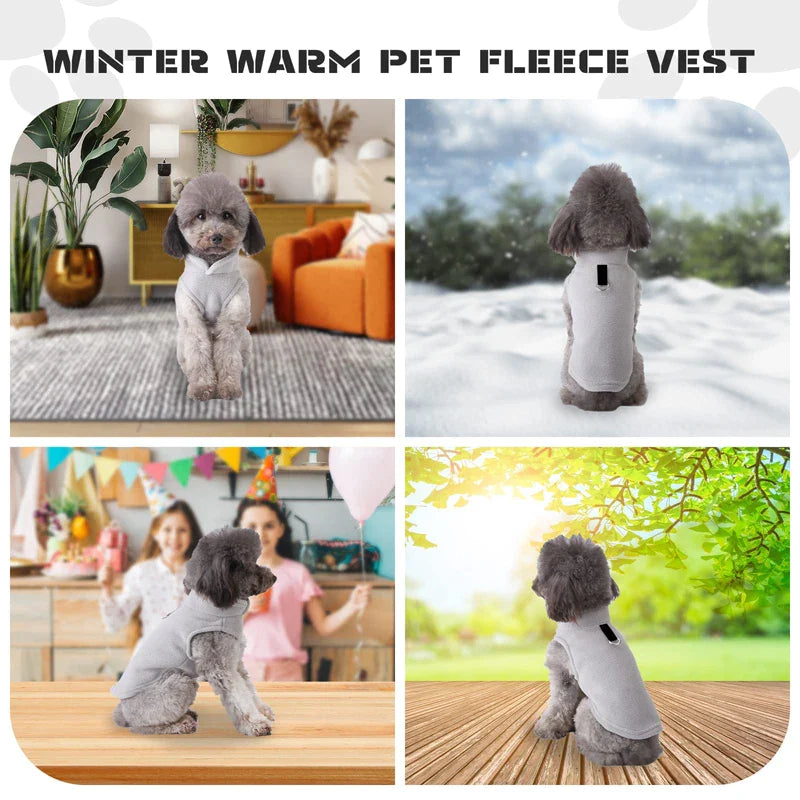 Winter Dog Jacket With Leash O-Ring